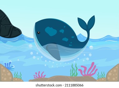 Blue whale to the surface of the water. looks beautiful seaweed and coral reefs under the sea.