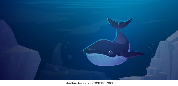 Blue whale swim in ocean space with rocks around. Marine animal, wildlife creature in sea environment, fauna species, underwater life, ecology conservation, save planet, Cartoon vector illustration