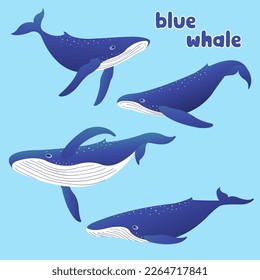 blue whale swimming character is beautiful in the undersea