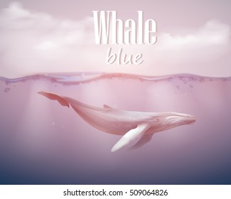 Blue whale swimming under the ocean surface. vector illustration EPS10