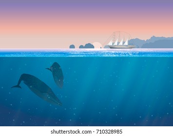 Blue Whale swimming under the ocean, vector illustration.