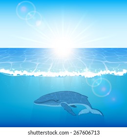 Blue whale swims in the ocean, illustration.