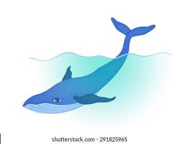 blue whale swims under the wave, holding the tail above the water