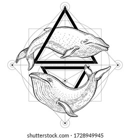 Blue whale tattoo. Geometric vector illustration with triangles and sea animals. Sketch logo in hipster vintage style. Hand drawn whales art, black line engraved poster isolated on white background