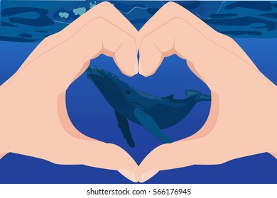 Blue Whale under water. Save whales. vector stock illustration