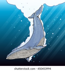 Blue whale underwater cartoon vector 