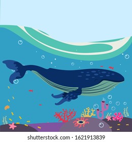 blue whale, underwater life, vector illustration, fish,algae, corals cartoon style, relaxation