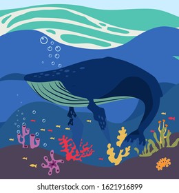 blue whale, underwater life, vector illustration, fish,algae, corals cartoon style, relaxation