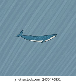 Blue whale is underwater with sun light or sun rays. Vector hand drawn cartoon childish illustration on the blue background. Polar animal in Antarctica with textures