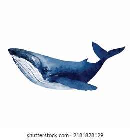 Arte vectorial de ballena azul aislado en fondo blanco Fauna oceánica Dibujo náutico Estilo marino para el logotipo de la tarjeta de saludo o decoración
