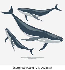 blue whale vector design asset in a minimalist style. perfect for ocean-themed projects, educational materials, or environmental campaigns. This elegant vector graphic is ideal as a symbol, icon, logo