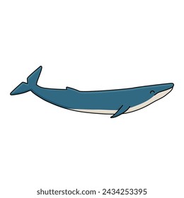 Blue whale. Vector hand drawn cartoon childish isolated illustration on the white background. Polar animal in Antarctica 