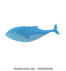 Blue whale vector icon.Cartoon vector icon isolated on white background blue whale.