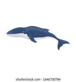 Blue whale vector icon.Cartoon vector icon isolated on white background blue whale.