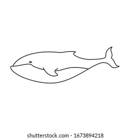 Blue whale vector icon.Outline vector icon isolated on white background blue whale.