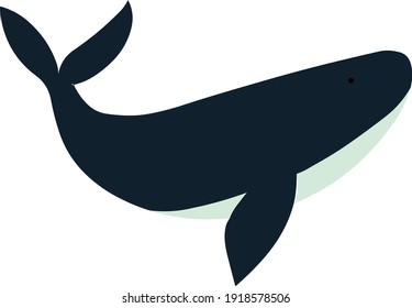 Blue whale vector illustration stock  vector isolated in white background