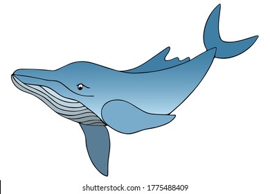 
Blue whale. Vector illustration. White isolated background. Marine mammal that feeds on plankton. Ocean dweller. Cartoon style. Gradient. World Whale and Dolphin Day. Tropical waters.