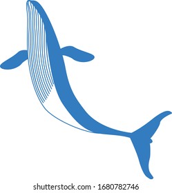 Blue whale. View of the whale from the belly. A beached whale. Isolated graphic stylized vector image.
