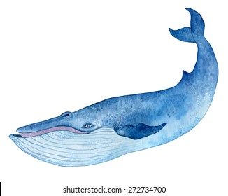 Blue Whale - Watercolor Hand Drawing Vector Paint 