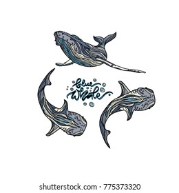 Blue whales with hand drawn caption vector illustration. Typography design elements for prints, cards, posters, products packaging, branding.