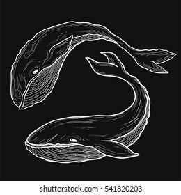 Blue whales outline vector hand drawn sketch illustration. whale pair in doodle style. design for prints, cards and other. white lines on blackboard, chalk design.