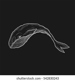 Blue whales outline vector hand drawn sketch illustration. whale pair in doodle style. design for prints, cards and other. white lines on blackboard, chalk design.