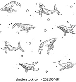 Blue whales. Seamless pattern. Vector sketch illustrations