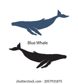 Blue Whales silhouette vector illustrations isolated on white background. Ocean wildlife mammals collection. Silhouette of different types of whale, sea animals. Fish and sea life silhouette graphic.