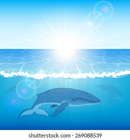 Blue whales swims in the ocean, illustration.