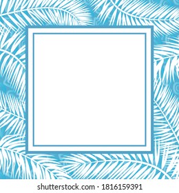 Blue and White Background for Christmas Holiday Design, Branches Silhouettes and Frame. Vector