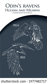blue and white illustration with Odin's ravens