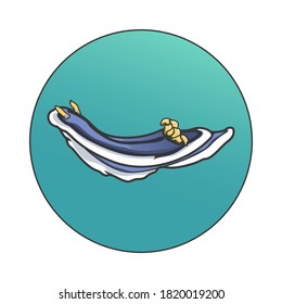 Blue white nudibranchia on gradient circle with white background