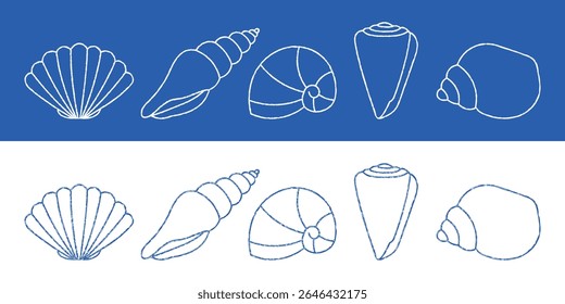 Blue and white seashell outlines chalk crayon pencil texture scallop, conch, nautilus, spiral. Hand drawn vector illustration design elements