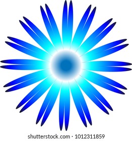 blue and white stylized flower
