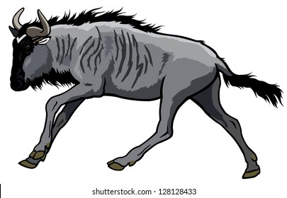 blue wildebeest,connochaetes taurinus,wild animal of africa,side view picture isolated on white background,vector illustration