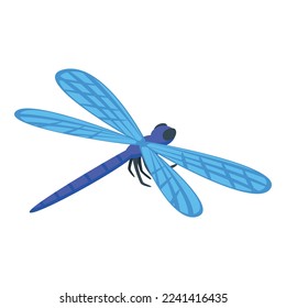 Blue wing dragonfly icon isometric vector. Fly insect. Macro summer