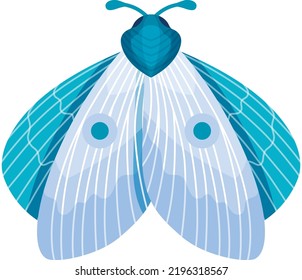 Blue winged insect. Night moth. Pastel butterfly