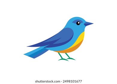 Blue winged Warbler bird vector art illustration 