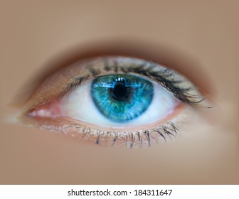 Blue woman eye macro. Vector