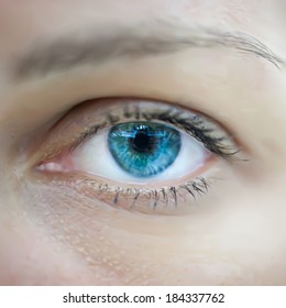 Blue woman eye macro. Vector illustration