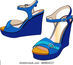 blue woman's shoes