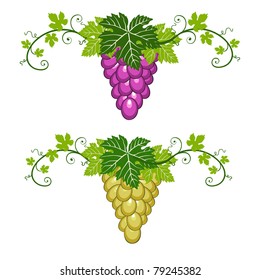 Blue and yellow grapes with green leaves on white background. Two borders, decorative object for your design.