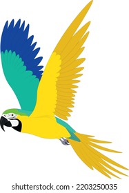 Blue yellow green macaw parrot in motion vector illustration