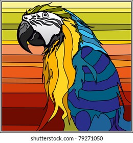 Blue and Yellow Macaw
