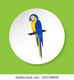 Blue and yellow macaw ara parrot icon in flat style on round button. Brazilian tropical bird symbol isolated.