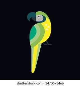 Blue and yellow Macaw bird vector flat illustration with leaves and flowers