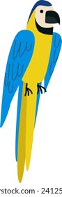 Blue and yellow macaw parrot perched, tropical bird illustration. Wildlife and exotic avian concepts vector illustration.