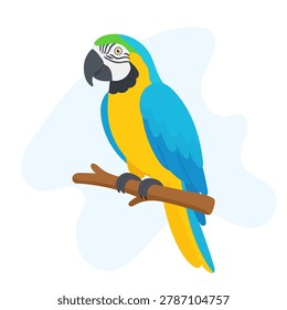Blue yellow macaw perched on branch, Blue yellow macaw displaying vivid tropical feathers, Ara ararauna vector bird illustration.