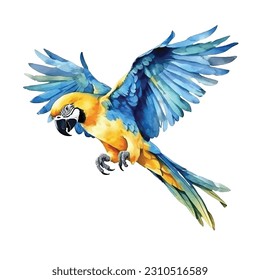 Blue and yellow Macaw watercolor paint ilustration