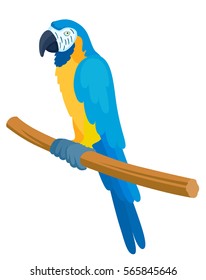 Blue yellow parrot, isolated vector illustration.  Perfect cards or any other kind of design